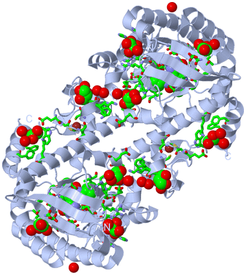 Image Biol. Unit 1 - sites