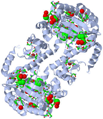 Image Biol. Unit 1 - sites