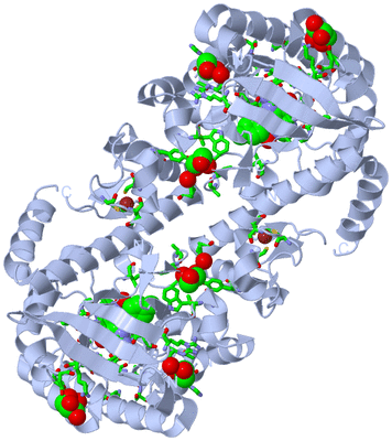 Image Biol. Unit 1 - sites