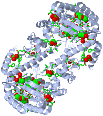 Image Biol. Unit 1 - sites