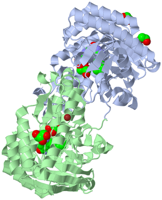 Image Asym./Biol. Unit