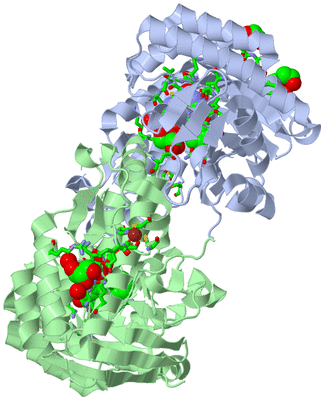 Image Asym./Biol. Unit - sites