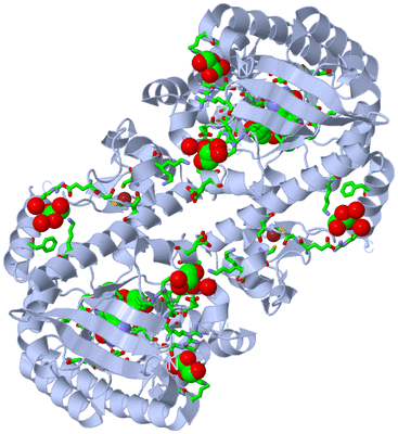 Image Biol. Unit 1 - sites