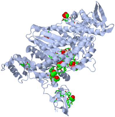 Image Biol. Unit 1 - sites