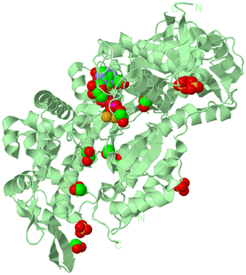 Image Biological Unit 2