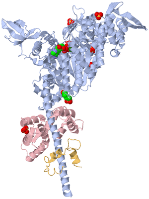 Image Biological Unit 1