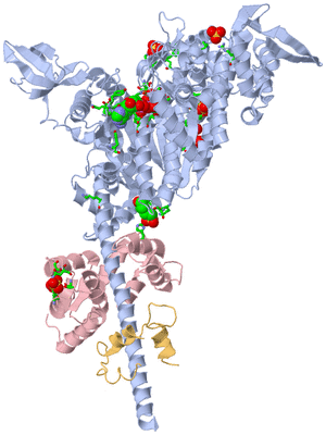 Image Biol. Unit 1 - sites