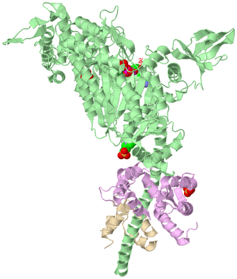 Image Biological Unit 2