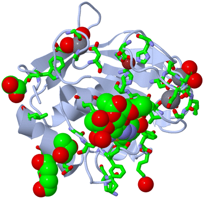 Image Biol. Unit 1 - sites