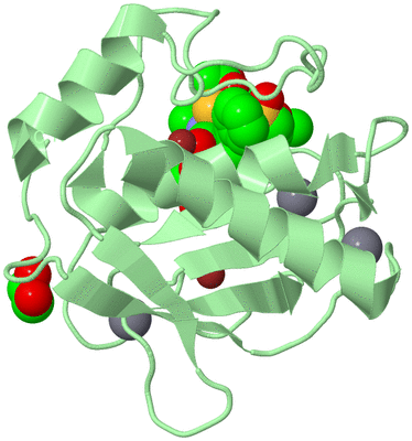 Image Biological Unit 2