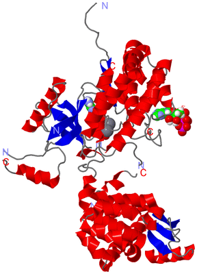 Image Asym./Biol. Unit