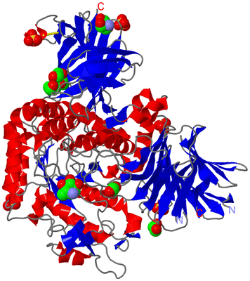 Image Asym./Biol. Unit