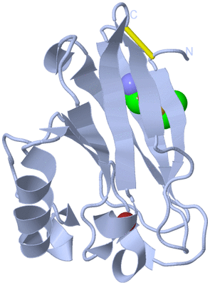 Image Biological Unit 1