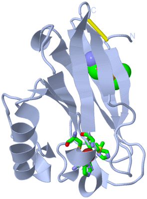 Image Biol. Unit 1 - sites