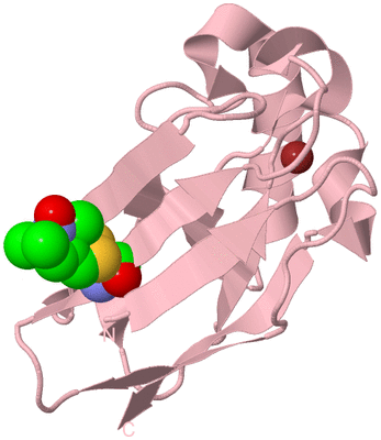 Image Biological Unit 3