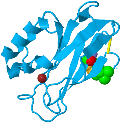 Image Biological Unit 10