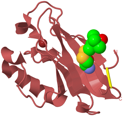 Image Biological Unit 11