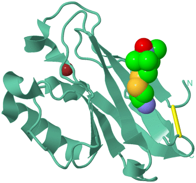 Image Biological Unit 12