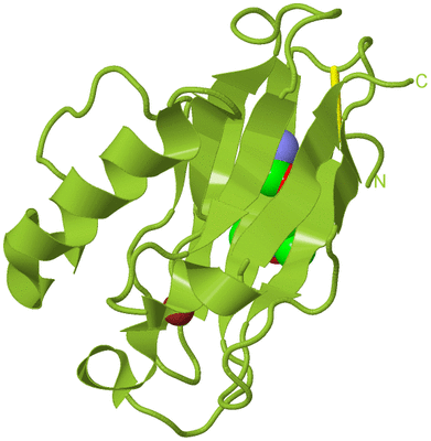 Image Biological Unit 13