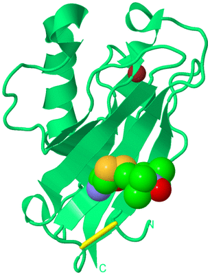 Image Biological Unit 16