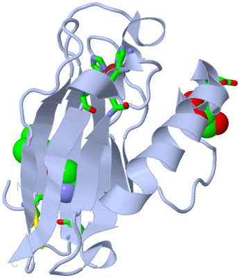 Image Biol. Unit 1 - sites