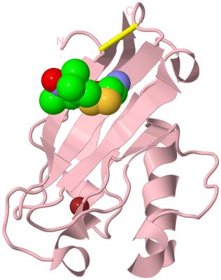 Image Biological Unit 3