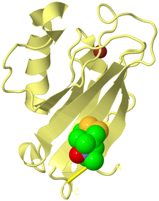 Image Biological Unit 4