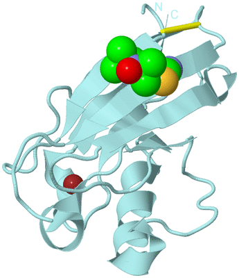 Image Biological Unit 6