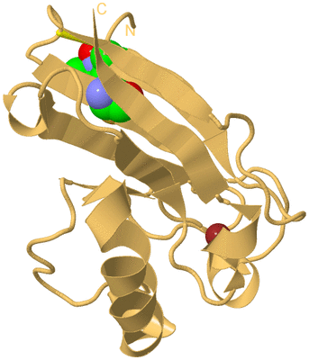 Image Biological Unit 7