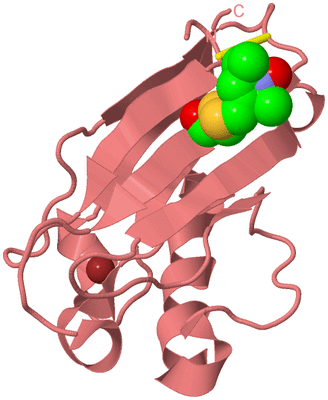 Image Biological Unit 8