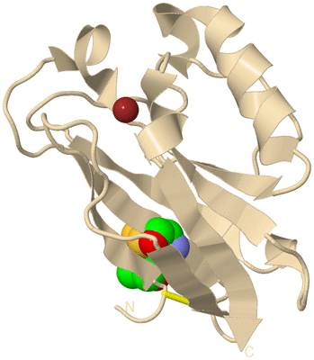 Image Biological Unit 9