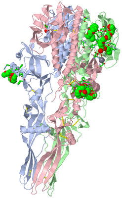 Image Asym./Biol. Unit - sites