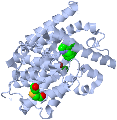 Image Biological Unit 1