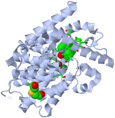 Image Biol. Unit 1 - sites