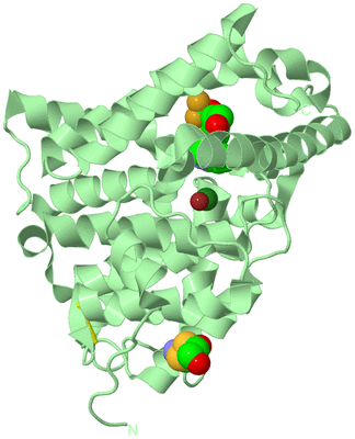 Image Biological Unit 2