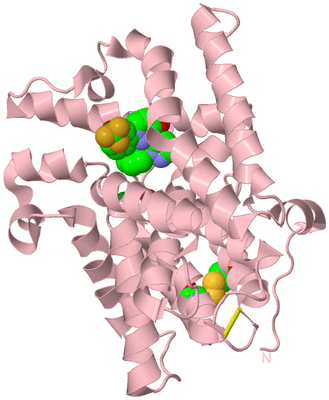 Image Biological Unit 3