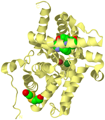 Image Biological Unit 4