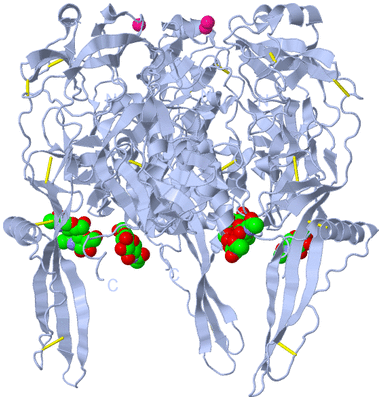 Image Biological Unit 1