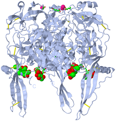 Image Biol. Unit 1 - sites