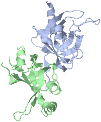 Image Biological Unit 3