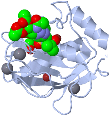 Image Biological Unit 1