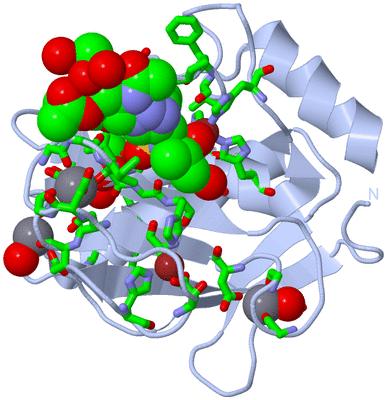 Image Biol. Unit 1 - sites