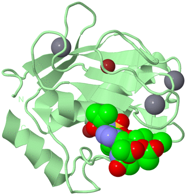 Image Biological Unit 2