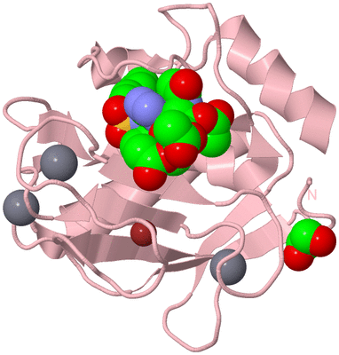 Image Biological Unit 3