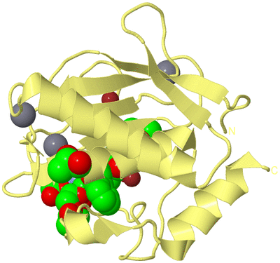 Image Biological Unit 4