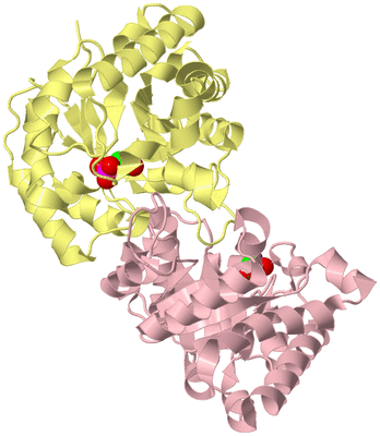 Image Biological Unit 2