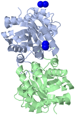 Image Asym./Biol. Unit