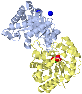 Image Biological Unit 1