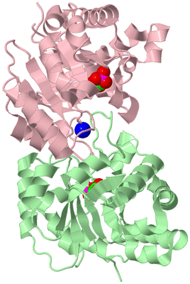 Image Biological Unit 2