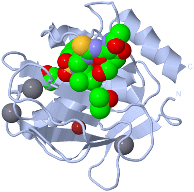 Image Biological Unit 1